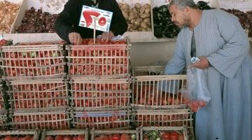 أسعار الخضروات والفاكهة في الوادي الجديد بعد وصول الطماطم إلى 25 جنيهاً