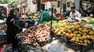 أسعار الفاكهة في أسواق مطروح اليوم الخميس والكنتالوب يسجل 15 جنيهاً للكيلو