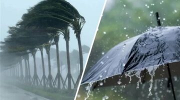 أمطار ورياح نشطة تضرب القاهرة والسواحل مع تسجيل 33 درجة غدًا الأحد