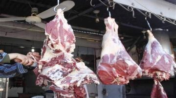 إقبال متزايد من المواطنين على منافذ الزراعة والتموين لشراء اللحوم بأسعار مخفضة