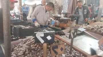 تباين أسعار الأسماك في أسواق دمياط اليوم الأحد بأسعار تبدأ من 20 جنيهاً