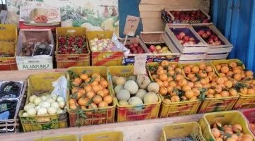 تباين أسعار الخضر والفاكهة في أسواق الإسماعيلية مع بداية تعاملات الأحد