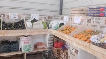 تباين أسعار الخضراوات والفاكهة بالوادي الجديد مع وصول كيلو الطماطم لـ 25 جنيها