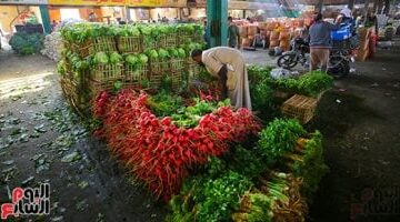 تباين أسعار الخضروات في المحلات والأسواق بمحافظة الأقصر يوم السبت 18 أبريل