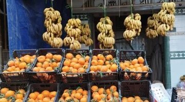 تباين أسعار الفاكهة في أسواق الأقصر خلال تعاملات يوم الثلاثاء 14 أبريل