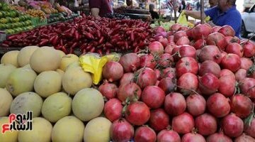 تباين أسعار الفاكهة في أسواق ومحلات الأقصر الخميس 16 أبريل 2026