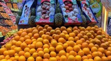 تباين أسعار الفاكهة في المحلات والأسواق التجارية بمحافظة الأقصر اليوم الخميس