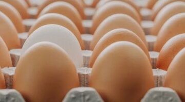 تباين في أسعار البيض والبقوليات بأسواق محافظة سوهاج خلال التعاملات الصباحية اليوم