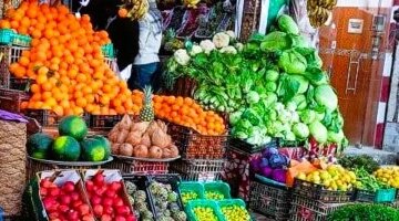 تباين في أسعار الخضراوات والفاكهة بالأسواق المحلية داخل محافظة المنوفية اليوم السبت
