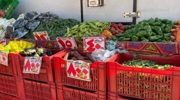 تباين ملحوظ في أسعار الخضراوات والفواكه داخل أسواق محافظة الغربية اليوم السبت