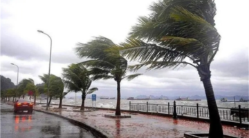 تحذيرات الأرصاد من أمطار ورياح تضرب مناطق متفرقة وتؤثر على حالة الطقس