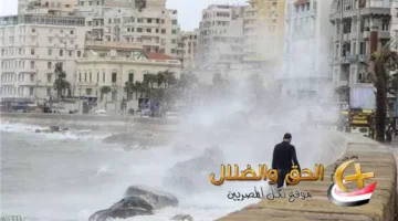 تحقيقات في الإسكندرية حول أزمة انقطاع المياه وانتشار رائحة غاز غامضة