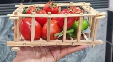 تخفيضات تصل إلى 30% على أسعار السلع في منافذ التموين والزراعة