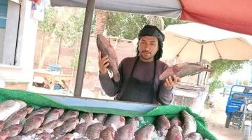 تراجع أسعار الأسماك في الوادي الجديد ووصول سعر كيلو المفيض إلى 35 جنيهاً
