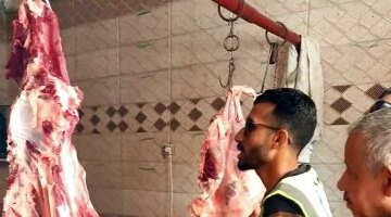 تراجع أسعار اللحوم والدواجن بمنافذ الداخلة مع تسجيل 350 جنيها لكيلو البلدي