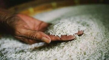 تراجع ملحوظ في أسعار السكر والأرز والزيت بالأسواق والمنافذ الحكومية اليوم