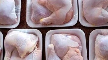 تغيرات أسعار الفراخ والوراك في أسواق مطروح اليوم السبت 11-4-2026