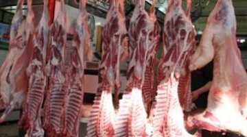 تغيرات أسعار اللحوم البلدي في أسواق مطروح اليوم الخميس بـ 400 جنيه