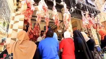 تغيرات أسعار اللحوم في أسواق مطروح اليوم الأربعاء وسعر الماعز يصل 450 جنيها
