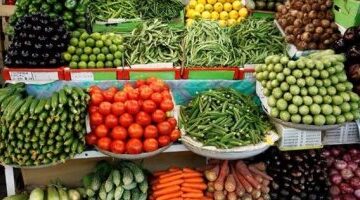 تغيرات في أسعار الخضراوات والفاكهة داخل أسواق محافظة كفر الشيخ يوم الثلاثاء