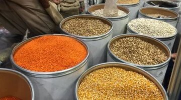 تغيرات ملحوظة في أسعار البقوليات بأسواق كفر الشيخ اليوم السبت 4 أبريل