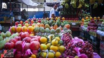 تفاوت أسعار الموز والفاكهة في أسواق سوهاج اليوم مع تسجيل 25 جنيهاً للكيلو