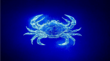 توقعات الفلك لمواليد برج السرطان حول تحركات مهنية وعاطفية جديدة اليوم