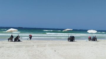 حالة الطقس في الإسكندرية اليوم مع تسجيل درجات حرارة توفر أجواء معتدلة