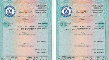 رسوم وطرق استخراج شهادة ميلاد إلكترونيًا والفئات المسموح لها بإتمام الإجراءات