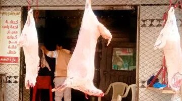 سعر اللحوم في كفر الشيخ يسجل 260 جنيهاً يوم الأحد 19 أبريل 2026