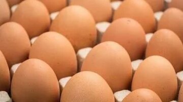 سعر طبق البيض الأبيض يسجل 107 جنيهات في أسواق محافظة القليوبية اليوم