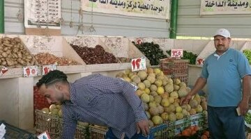 سعر كيلو الطماطم يسجل 22,5 جنيه في أسواق الوادي الجديد اليوم الأربعاء