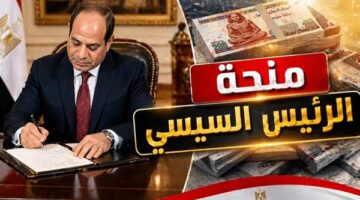 صرف 4500 جنيه لدعم العمالة غير المنتظمة بقرار من الرئيس السيسي