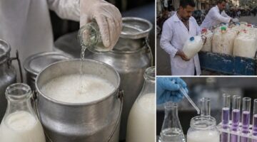 ضبط أطنان من اللبن الملوث بالفورمالين في حملة رقابية بمحافظة المنيا