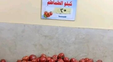 قفزة في أسعار الخضروات والفاكهة بالوادي الجديد مع وصول الطماطم لـ25 جنيها