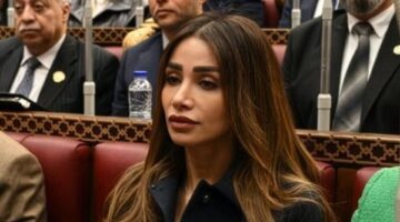 كيف يعلق أعضاء مجلس النواب على توجيهات الرئيس السيسي لحماية استقرار الأسرة المصرية؟