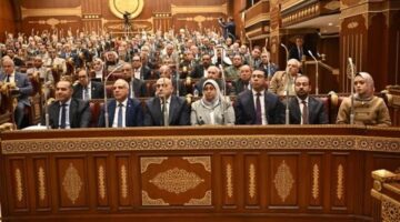 مجلس الشيوخ يقر تعديلات جديدة على قوانين التأمينات والمعاشات في مصر