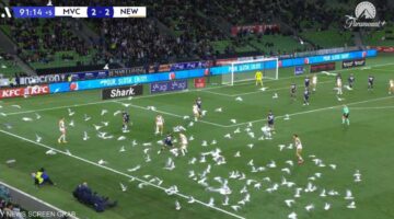 مشهد جنوني: أسراب من الطيور تقتحم ملعب كرة قدم وتوقف المباراة