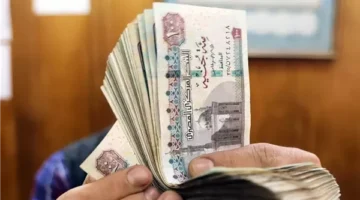 مقترح جديد في قانون التأمينات لدعم الابنة المتزوجة ومعاش إضافي بمصر