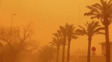 منخفض جوي ليبي يثير الأتربة ويجلب طقساً حاراً على عدة مناطق مصرية