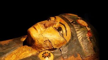 مواعيد زيارة متحف التحنيط بالأقصر لعشاق استكشاف الأسرار الأثرية الغامضة