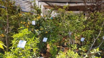 موعد افتتاح معرض الزهور وطرق الوصول إلى مقر الفعالية السنوية المنتظرة