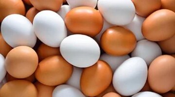 وزارة التموين تطرح بيض المائدة في منافذها وتكشف قائمة الأسعار الجديدة اليوم