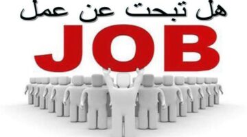 وزارة العمل تعلن عن فرص توظيف في قطاع السياحة براتب 10 آلاف جنيه