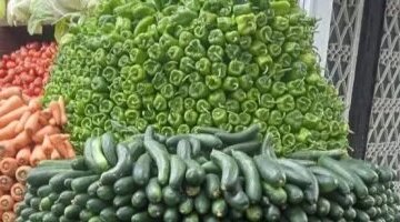 أسعار الخضار في سوهاج بعد وصول سعر كيلو الطماطم إلى 25 جنيهاً