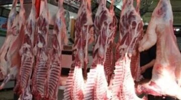 أسعار اللحوم في أسواق مطروح تسجل 450 جنيها للحوم الضأن يوم الإثنين