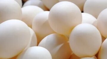 استقرار أسعار البيض في سوهاج عند 110 جنيهات للأبيض والأحمر بالأسواق