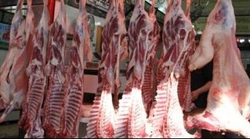استقرار أسعار اللحوم عند 270 جنيها في أسواق كفر الشيخ الجمعة 1 مايو