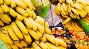 تباين أسعار الفاكهة في أسواق الأقصر والموز البلدي يسجل 35 جنيهاً للكيلو