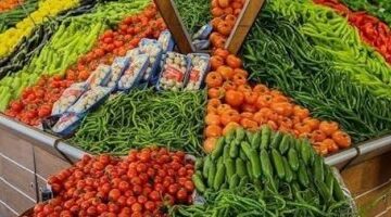 تطورات أسعار الخضراوات والفاكهة في كفر الشيخ الأحد 24 مايو 2026